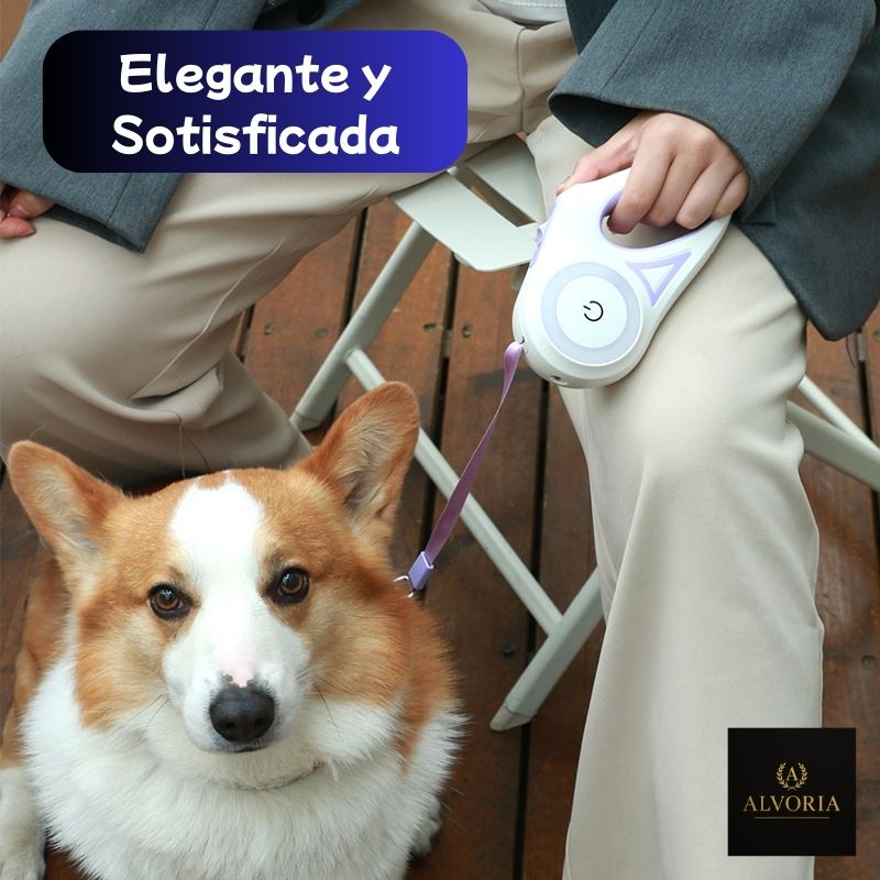 Correa Extensible con Luz LED para Perros + Collar – ALVORIA™